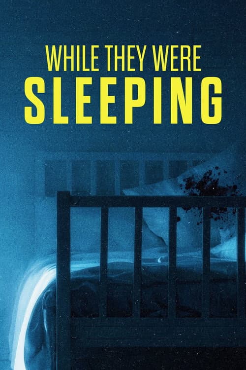 While They Were Sleeping afişi