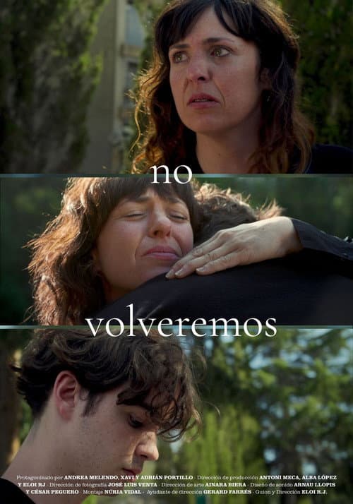 No volveremos afişi