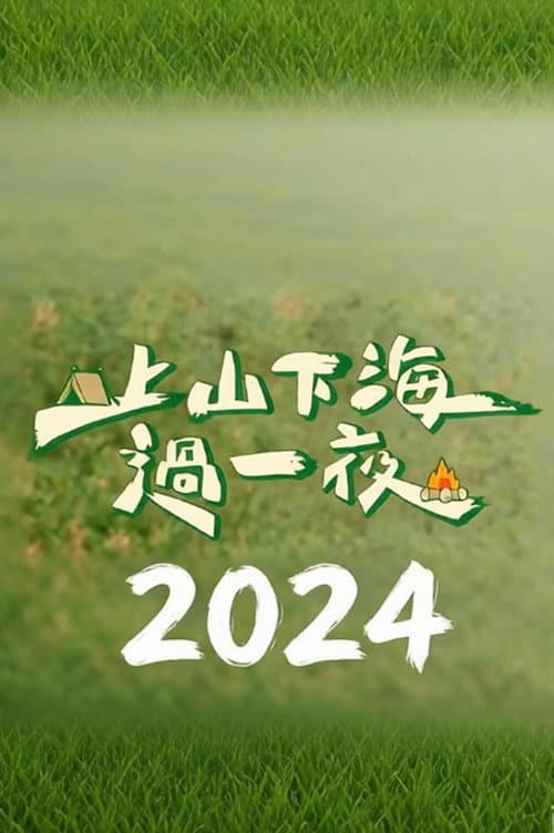 上山下海过一夜（2024） afişi