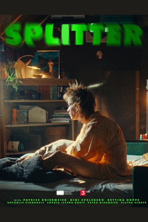 Splitter afişi