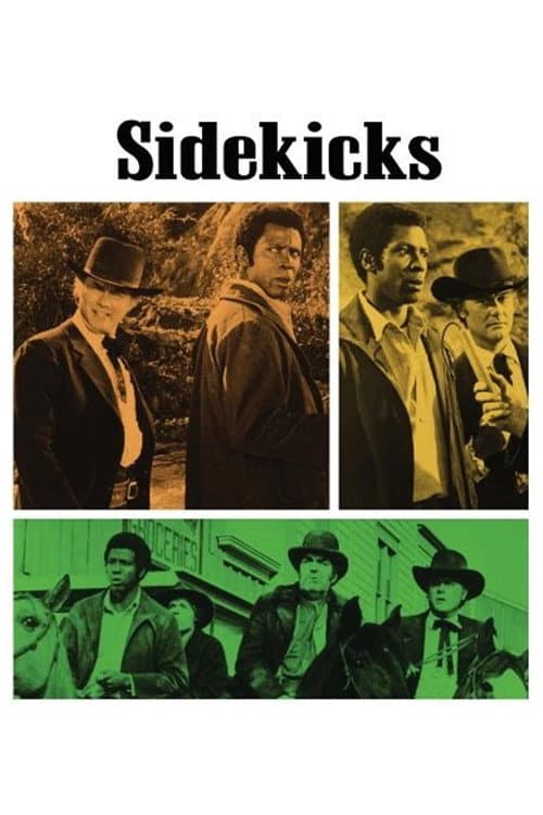 Sidekicks afişi