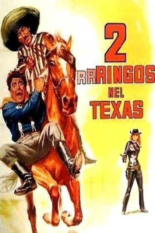Due Rrringos nel Texas afişi
