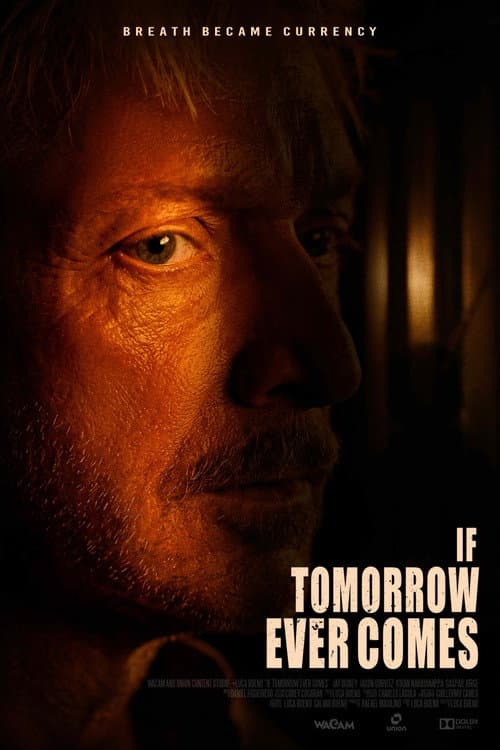 If Tomorrow Ever Comes afişi