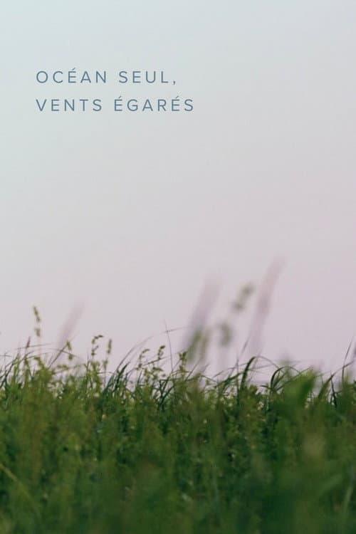 Océan seul, vents égarés afişi
