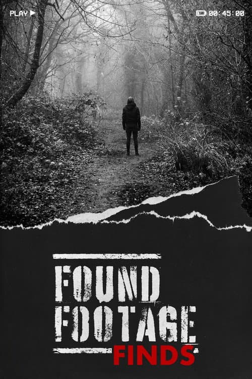 Found Footage Finds afişi