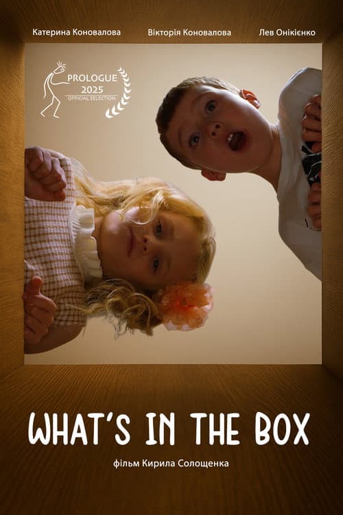 What`s in the box afişi