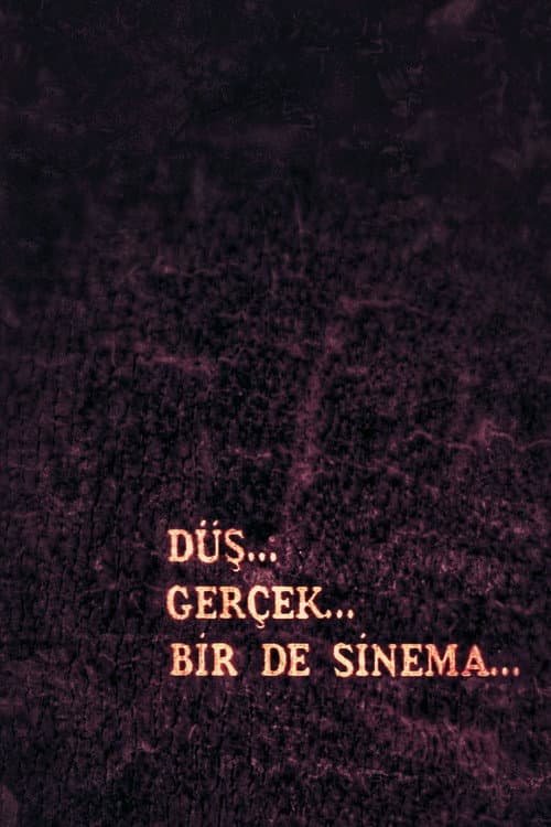 Düş, Gerçek, Bir de Sinema afişi