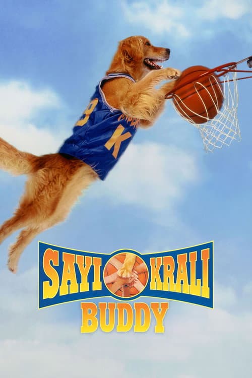 Sayı Kralı Buddy afişi