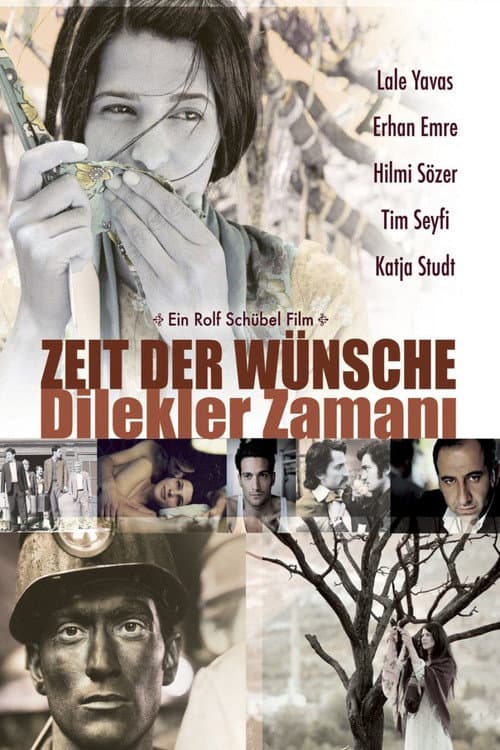 Dilekler Zamanı afişi