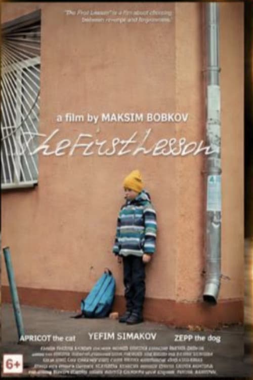 The First Lesson afişi