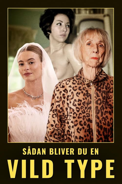 Sådan bliver du en vild type afişi