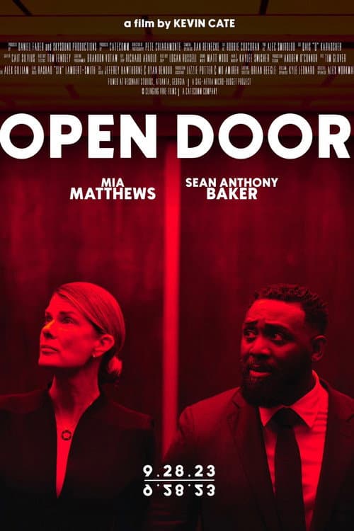 Open Door afişi