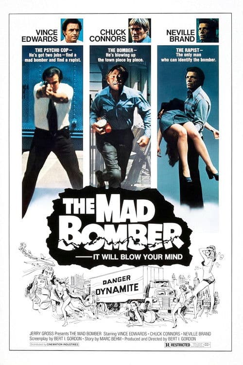 The Mad Bomber afişi