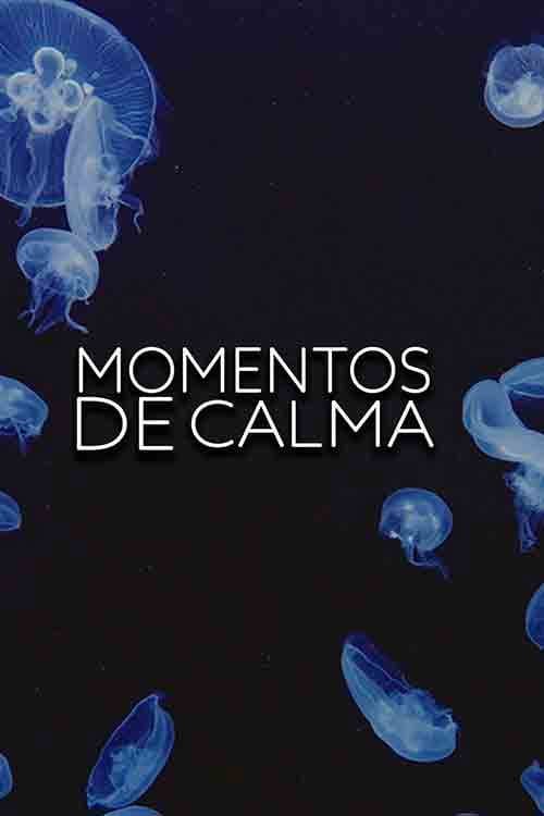 Momentos de calma afişi