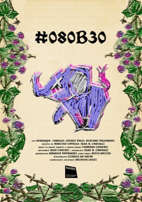 #080B30 afişi