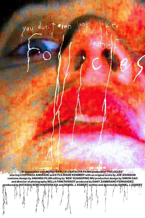 FOLLICLES afişi