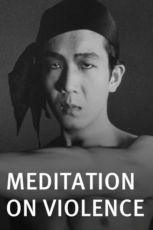 Meditation on Violence afişi