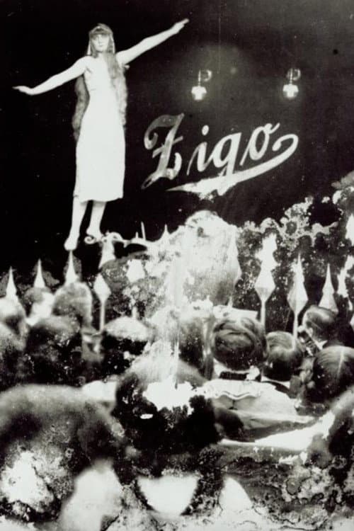 Zigo afişi