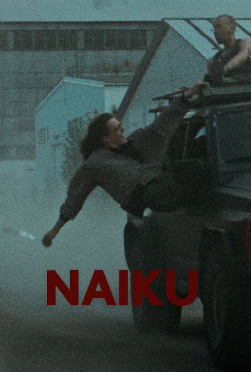 Naiku afişi