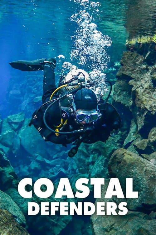 Coastal Defenders afişi