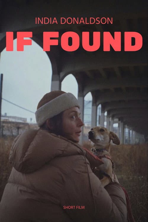 If Found afişi