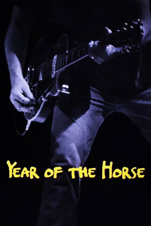 Year of the Horse afişi