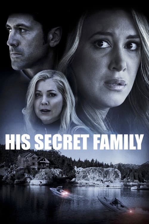 His Secret Family afişi
