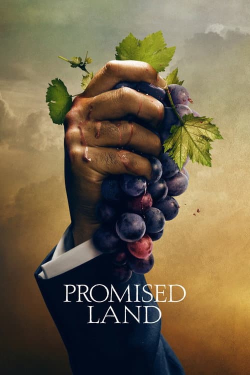 Promised Land afişi
