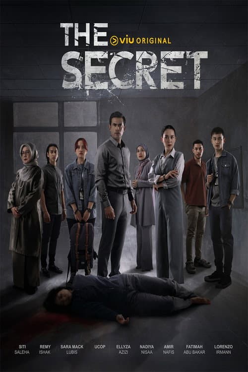 The Secret afişi