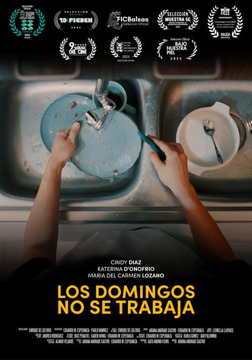 Los domingos no se trabaja afişi