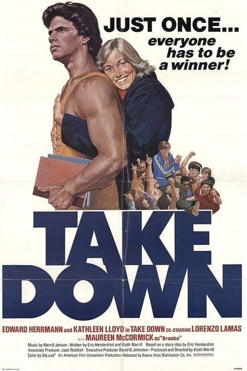 Take Down afişi