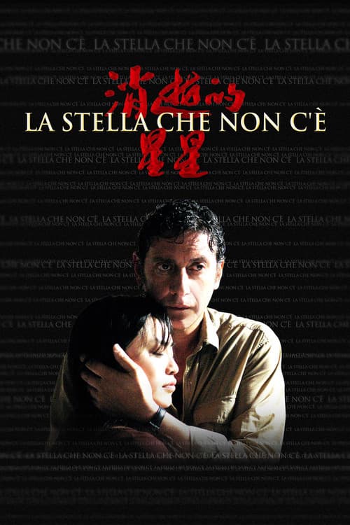 La stella che non c'è afişi