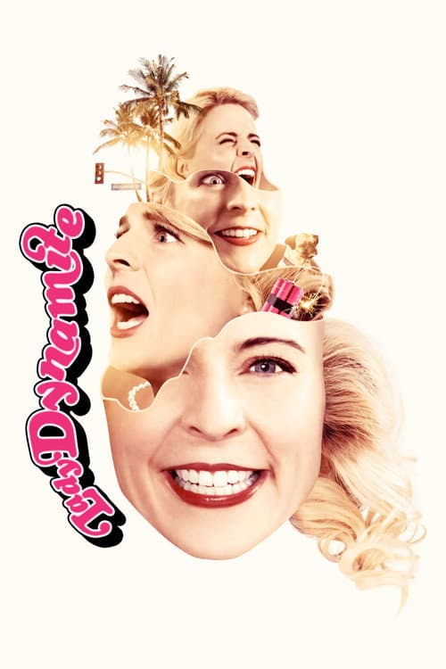 Lady Dynamite afişi