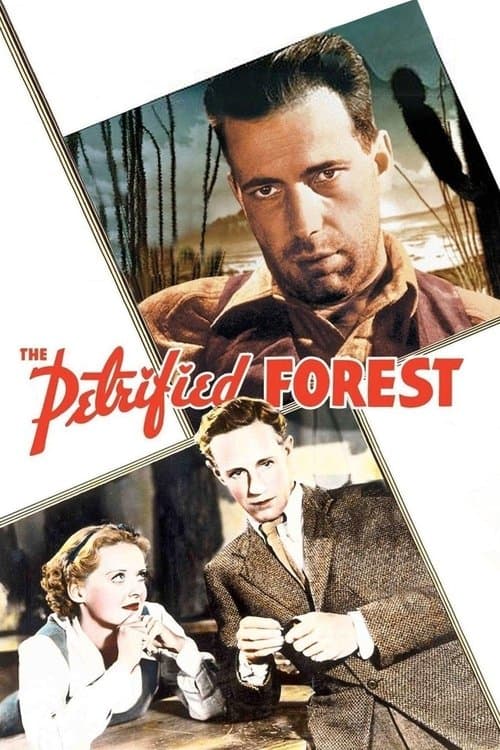 The Petrified Forest afişi