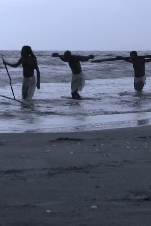 The Black Creoles: Memories and Identities afişi
