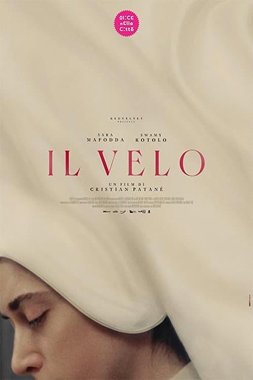 Il Velo afişi