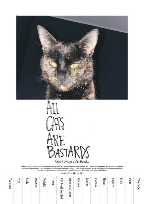 All Cats Are Bastards afişi