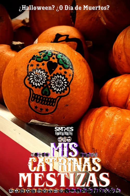Mis Catrinas Mestizas afişi