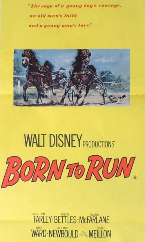 Born to Run afişi