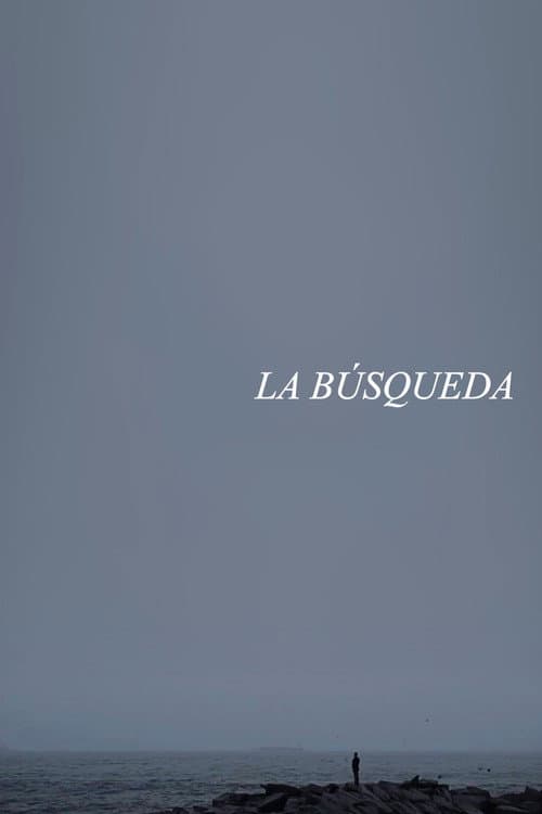 La búsqueda afişi