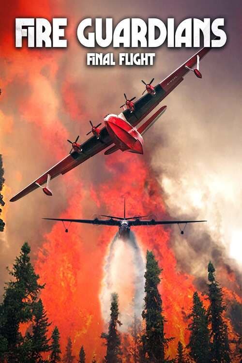 Fire Guardians: Final Flight afişi