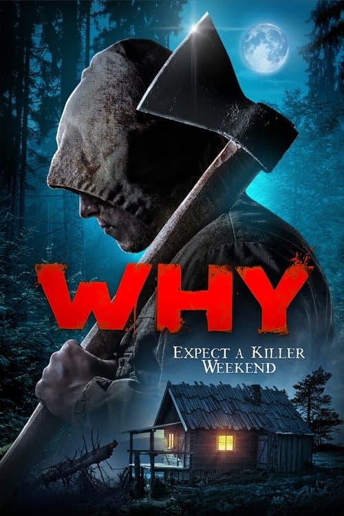 Why? afişi