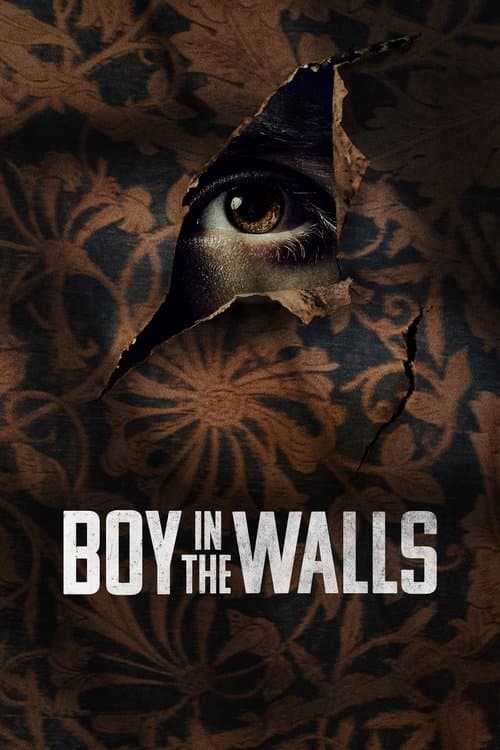 Boy in the Walls afişi