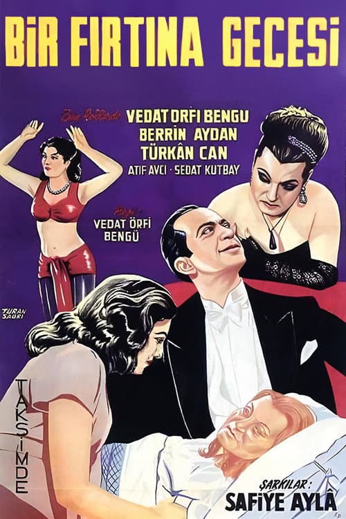 Bir Fırtına Gecesi afişi