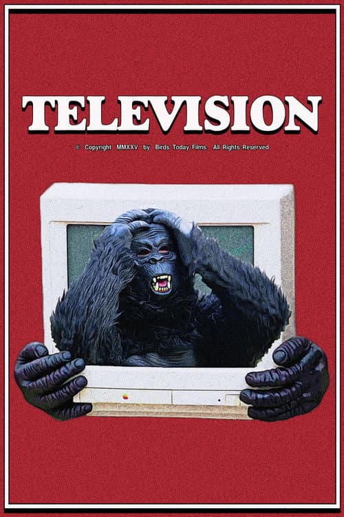 Television afişi