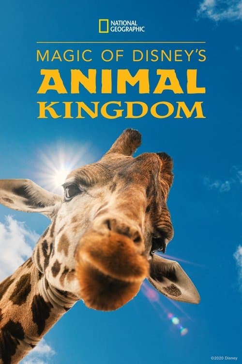 Disney's Animal Kingdom'ın Sihri afişi