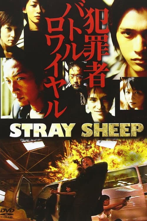 STRAY SHEEP afişi