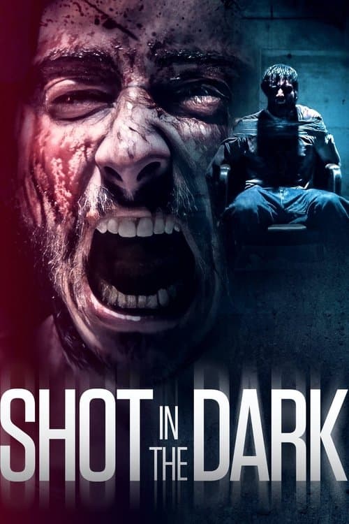 Shot in the Dark afişi