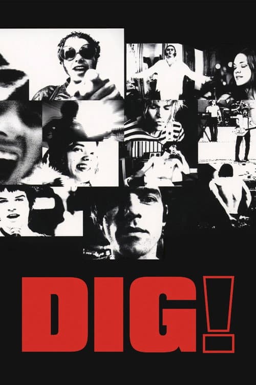 Dig! afişi