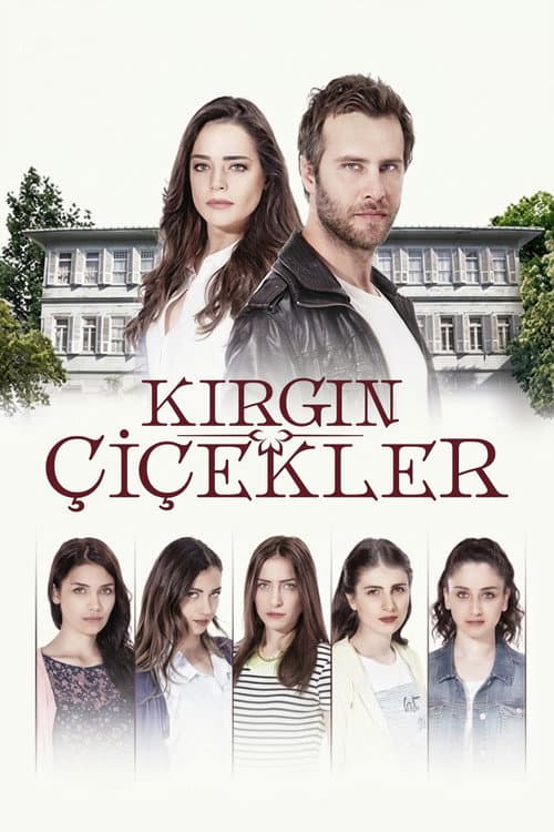 Kırgın Çiçekler afişi
